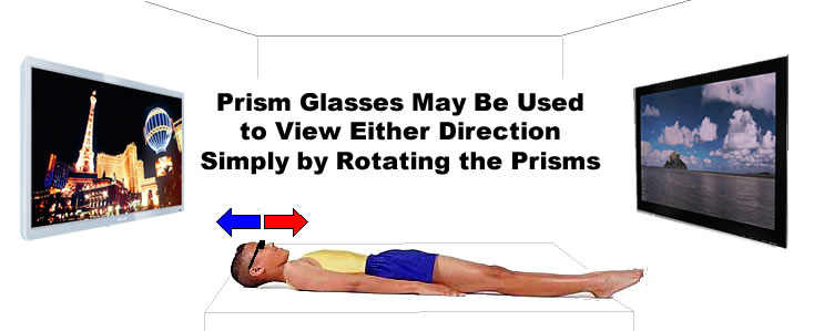Prism Glasses Views